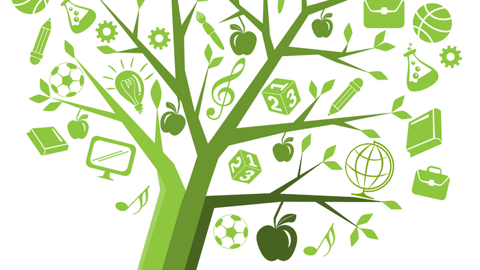 Sustainability & Responsibility